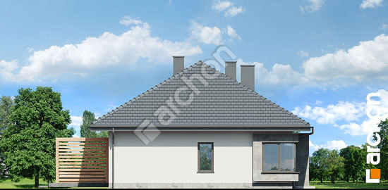 Бочний фасад Будинок під гінко 19