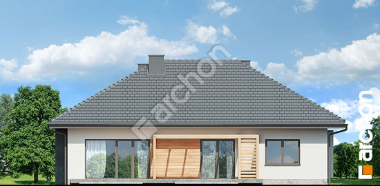 Дворовой фасад Дом под гинко 19