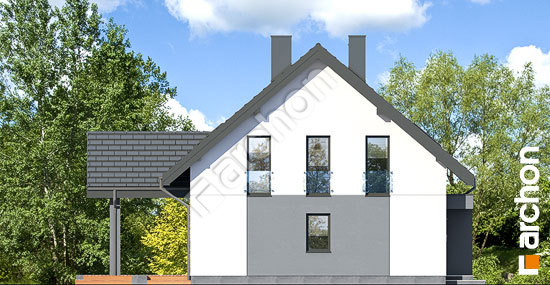 Боковой фасад Дом в аурорах 12