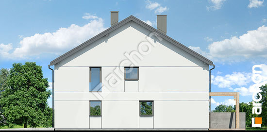 Боковой фасад Дом под гинко 24 (ГБ)