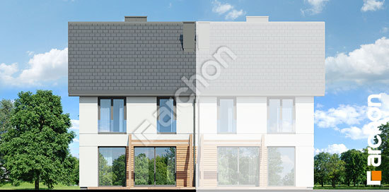 Дворовой фасад Дом под гинко 24 (ГБ)