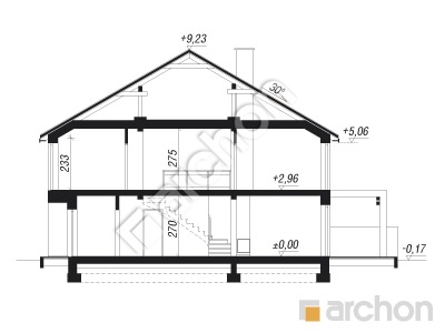 Проєкт будинку ARCHON+ Будинок під гінко 24 (ГБ) Розріз будинку