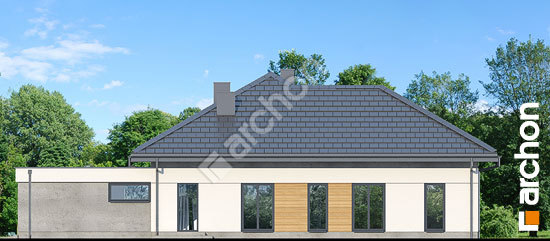 Боковой фасад Дом в нигеллах (Г2)