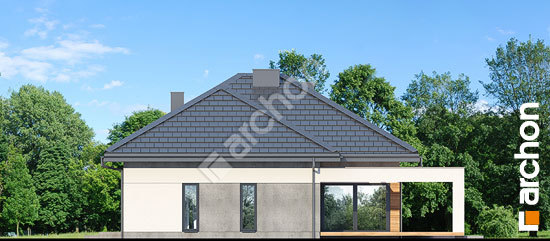 Дворовой фасад Дом в нигеллах (Г2)