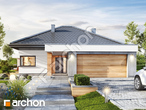 Проєкт будинку ARCHON+ Будинок в нігеллах (Г2) 