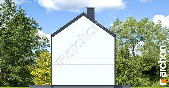 Бочний фасад Будинок в ірисах 5