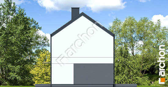 Бочний фасад Будинок в ірисах 5