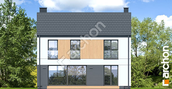 Дворовой фасад Дом в ирисах 5