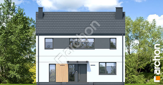 Передний фасад Дом в ирисах 5