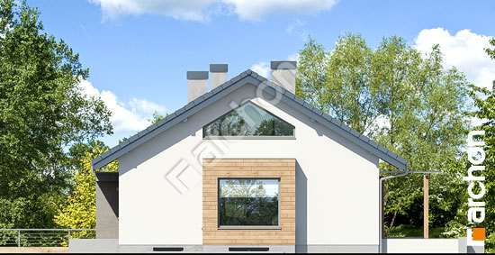 Боковой фасад Дом под красной рябиной 16 (ПН)