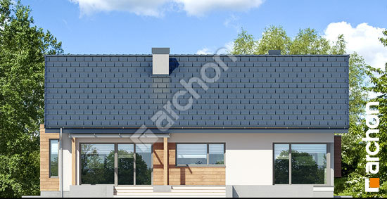 Дворовий фасад Будинок під червоною горобиною 16 (ПН)