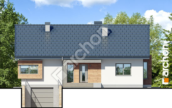 Передній фасад Будинок під червоною горобиною 16 (ПН)