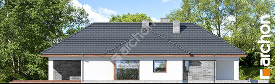 Бочний фасад Будинок в андромедах (Г2)