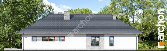 Боковой фасад Дом в андромедах (Г2) 