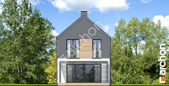 Дворовой фасад Дом в ривиях 10 (Г)