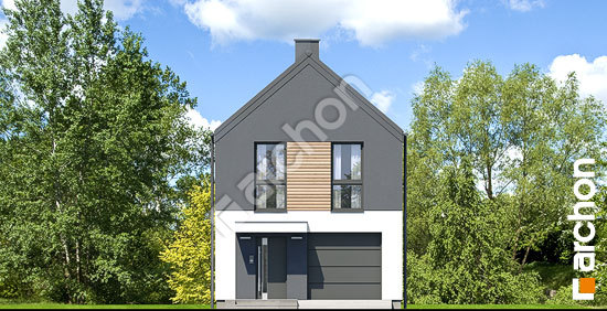 Передній фасад Будинок в рівіях 10 (Г)