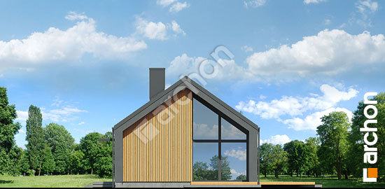 Боковой фасад Дом в ирисе 9 (Н)