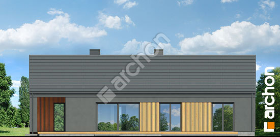 Дворовой фасад Дом в ирисе 9 (Н)