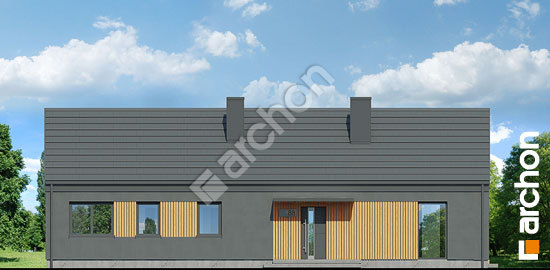 Передній фасад Будинок в ірисах 9 (Н)