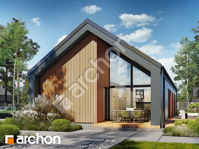 Проєкт будинку ARCHON+ Будинок в ірисах 9 (Н) 