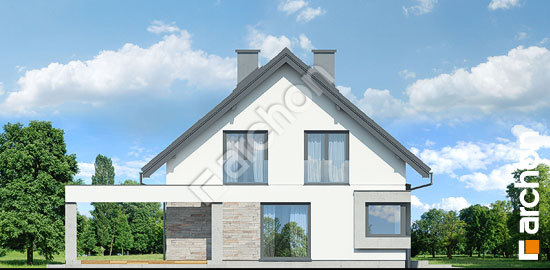 Бочний фасад Будинок у гвоздиках (А)