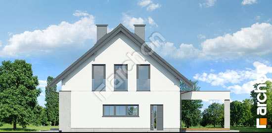 Боковой фасад Дом в гвоздиках (А)