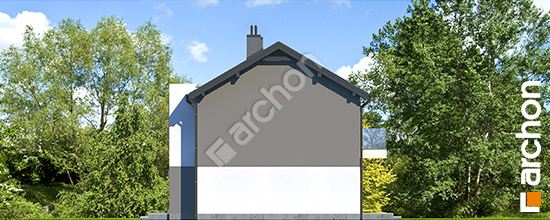 Боковой фасад Дом в рябиннике (Р2Б) вер.2