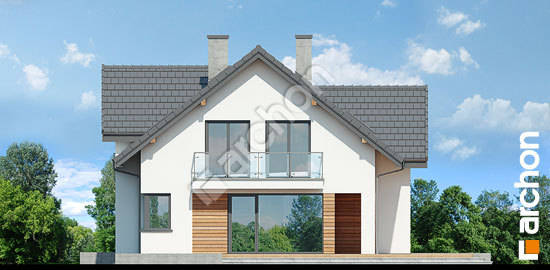 Дворовой фасад Дом под софорой 2