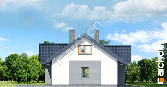 Бочний фасад Будинок в нерінах 2 вер.2 
