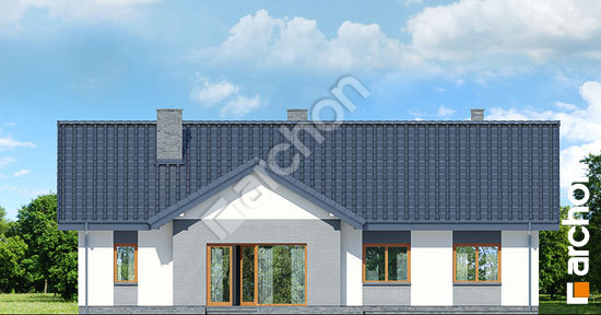 Дворовий фасад Будинок в нерінах 2 вер.2 