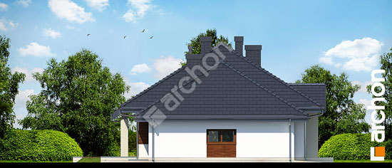 Боковой фасад Дом в гаурах (H) вер.2