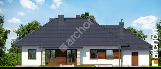 Дворовий фасад Будинок в гаурах (Н) вер.2