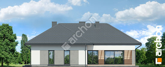 Дворовой фасад Дом в итеях (Г2)