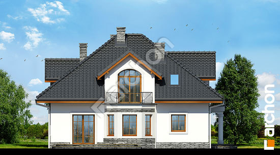 Бочний фасад Будинок в тим'яні 9