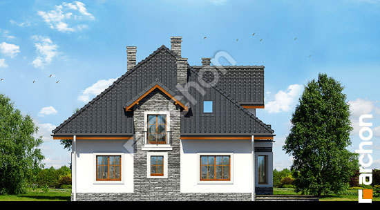 Дворовий фасад Будинок в тим'яні 9