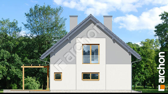 Бочний фасад Будинок в аммобіумі