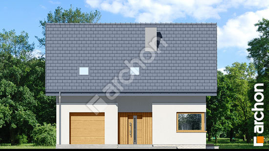 Передний фасад Дом в аммобиуме