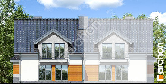 Дворовой фасад Дом в клематисах 16 (Б)