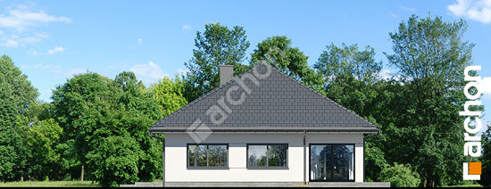 Дворовий фасад Будинок в ренклодах 23 (Г2Е)