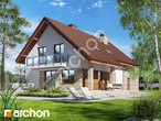 Проект будинку ARCHON+ Будинок в айдаредах 7 (Г2) стилізація 4