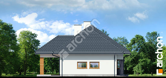 Боковой фасад Дом в лазурах (Г2)