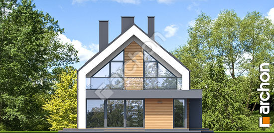 Бочний фасад Будинок в шишковиках 8