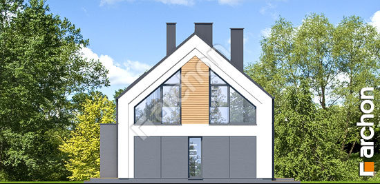 Бочний фасад Будинок в шишковиках 8