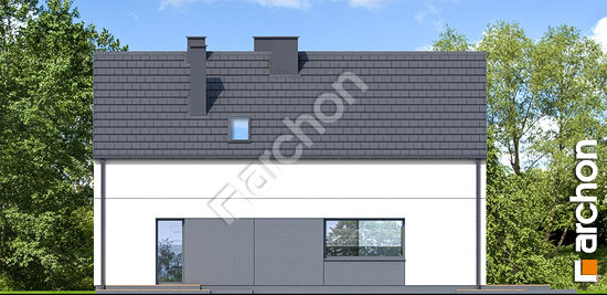 Дворовой фасад Дом в шишковиках 8