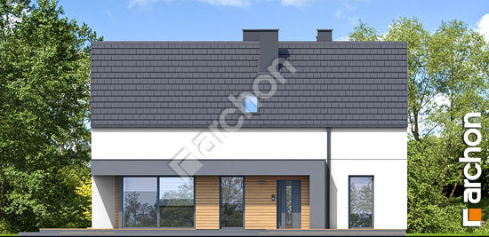 Передній фасад Будинок в шишковиках 8