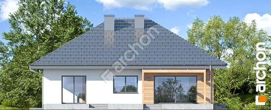 Бочний фасад Будинок в бузку 7 (П)