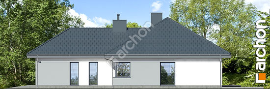 Бочний фасад Будинок в арівах (Г2)