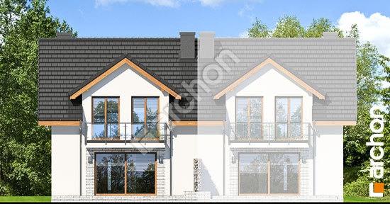 Дворовой фасад Дом в клематисах 21 (Б) вер. 2