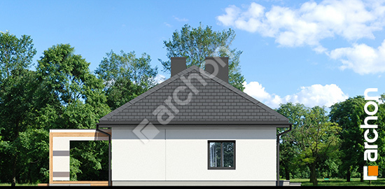 Бочний фасад Будинок в базиліці 5