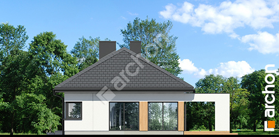 Бочний фасад Будинок в базиліці 5